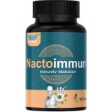 Best Ayurvedic Immunity Booster in India | Nactoimmun