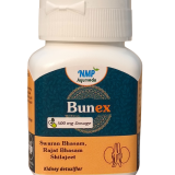Ayurvedic Medicine for Renal Health and Urinary Tract