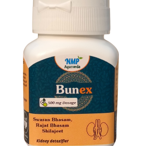 Ayurvedic Medicine for Renal Health and Urinary Tract