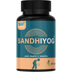 Best Ayurvedic Medicine for Joint Pain in India